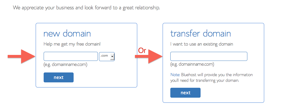 domain-and-hosting