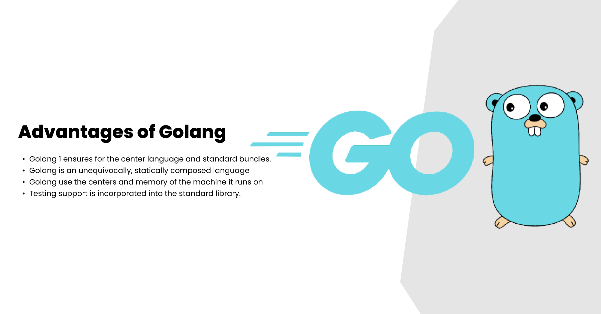 Advantages of Golang