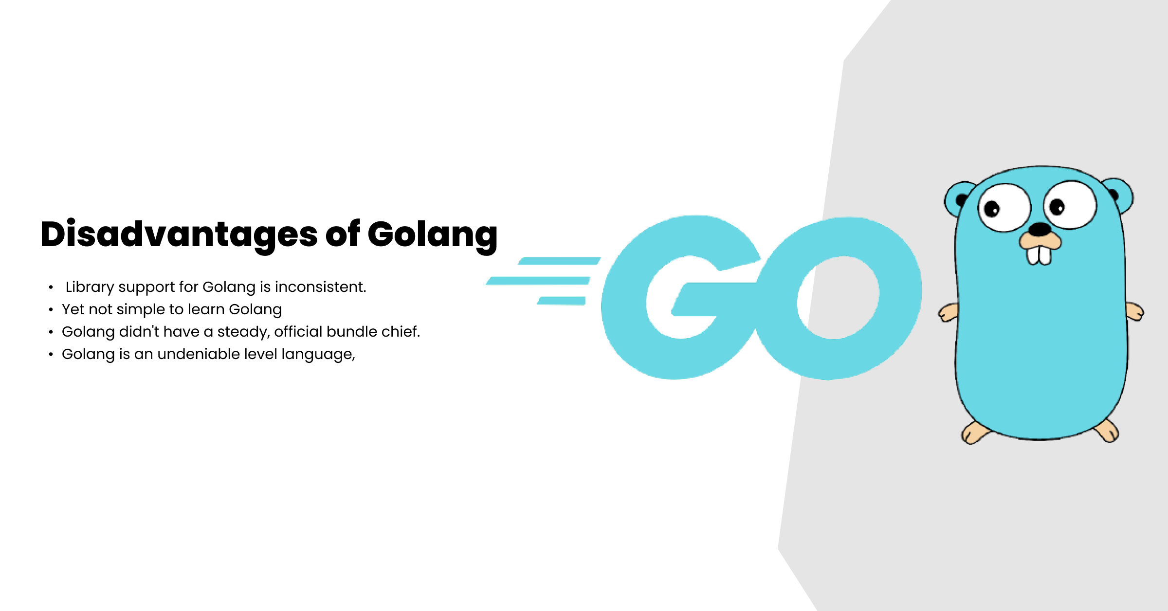 Disadvantages of Golang