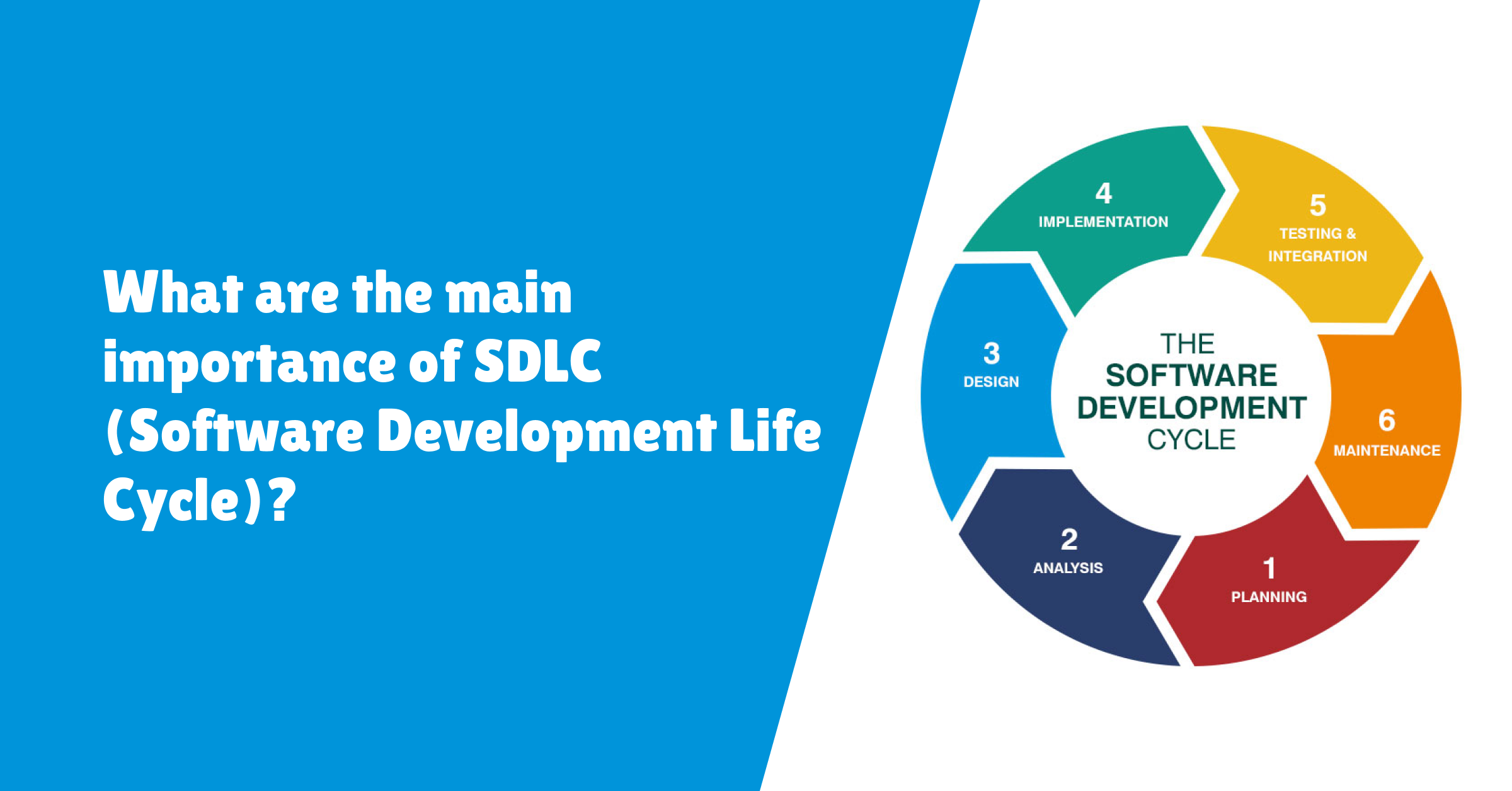 What is the main importance of SDLC( Software Development Life Cycle)