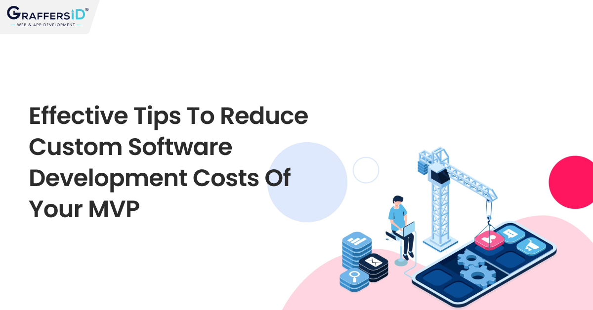 Effective Tips to Reduce Custom Software Development Costs of your MVP