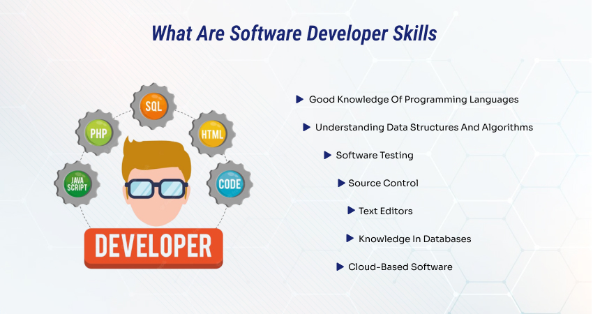Software Developer Skills
