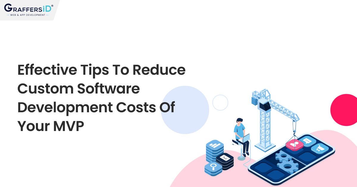 Effective Tips to Reduce Custom Software Development Costs of your MVP