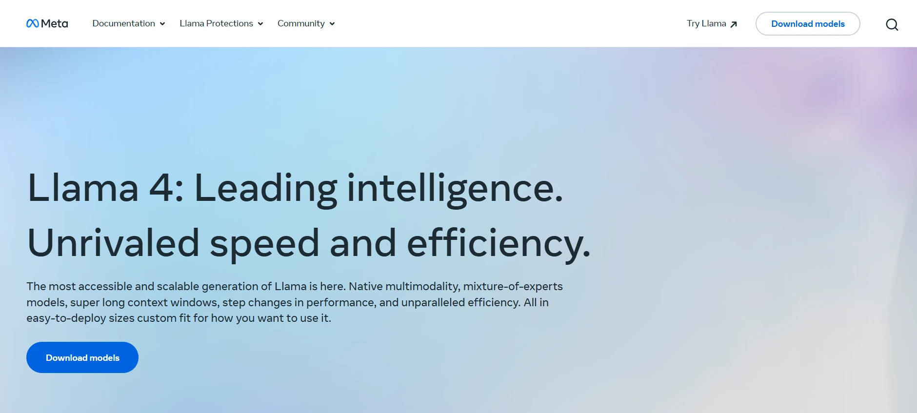 LLaMA (Meta)