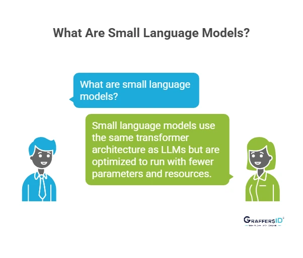 What Are Small Language Models?