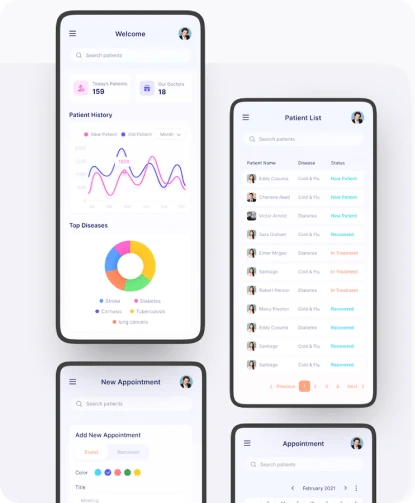 healthcare IT project